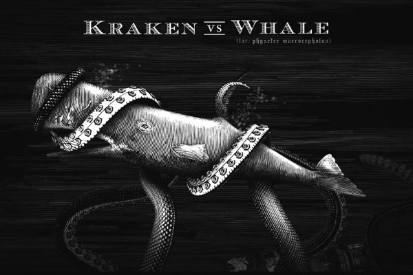 Kraken 13 at