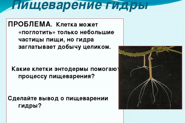 Ссылка на hydra для tor