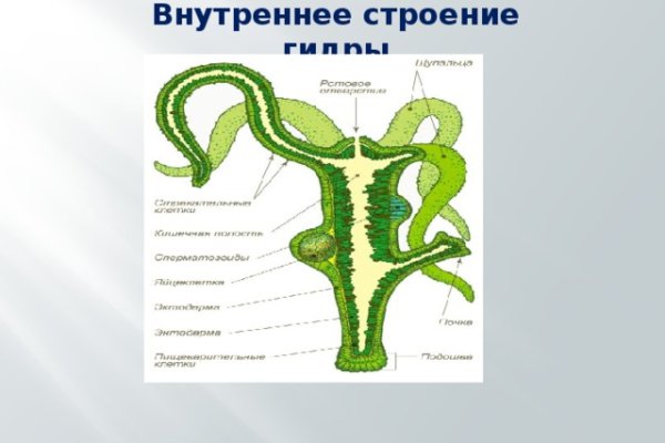 Кракен сайт krknwebs