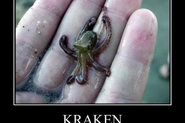 Kraken tor onion